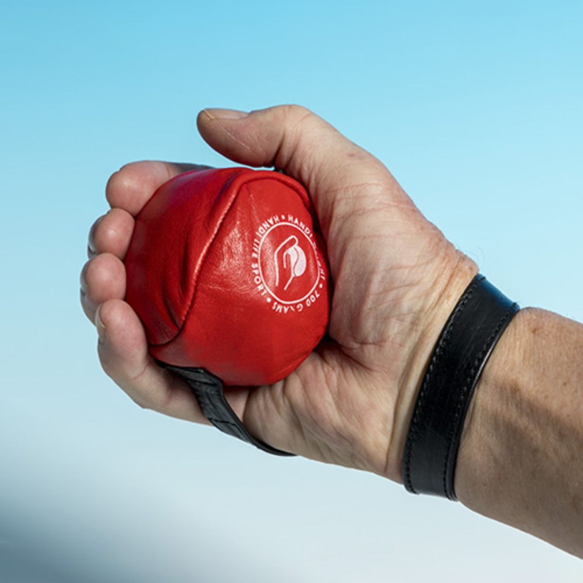 boccia1