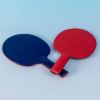 Hard referee paddle for boccia