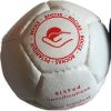 White New Standard boccia ball