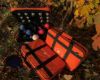 Orange Superior Boccia Cases