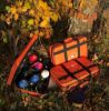 Orange Superior Boccia Cases