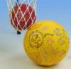Butterfly Bell Balls, 2 sizes the little one in a net