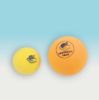 Suno Foam ball and a Blind Tennis ball