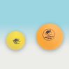 Suno Foam ball and a Blind Tennis ball