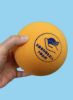 Suno Foam ball