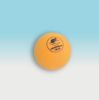Suno Foam ball