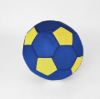 Picture of Large Blue and Yellow Mesh Ball