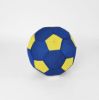 Picture of Large Blue and Yellow Mesh Ball